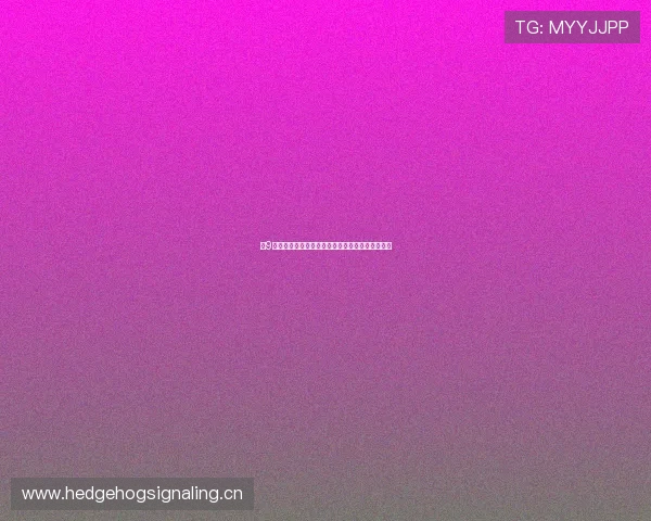 小9官网全新升级，带你探索智能生活与创新科技魅力