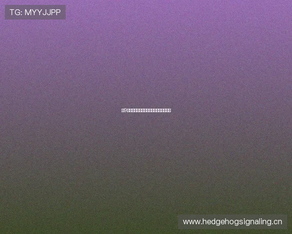 小9体育直播平台的访问途径及使用指南详解 小9体育直播平台的访问途径及使用指南详解