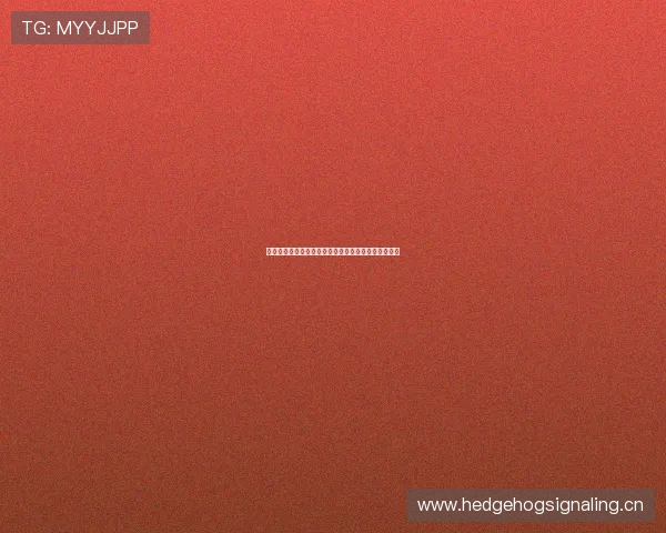 雨燕直播入口全面解析，让你轻松进入最热门直播平台